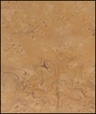 ��zȸ�ۘ���